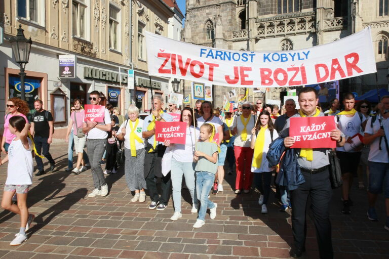 NpzŽ 2024